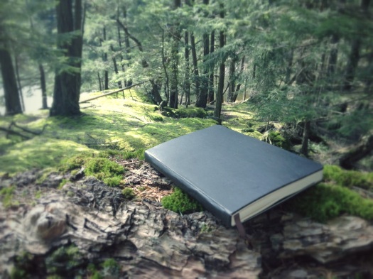 my notebook :), amy robinson, amy notebook, notebook, moleskin, notebook in woods